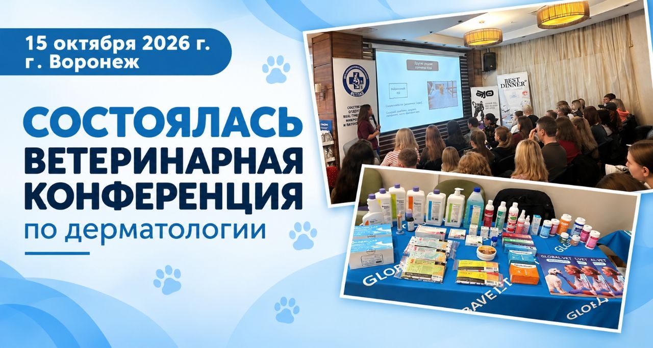 15 октября Воронеж стал площадкой для встречи ветеринарных специалистов на конференции по дерматологии