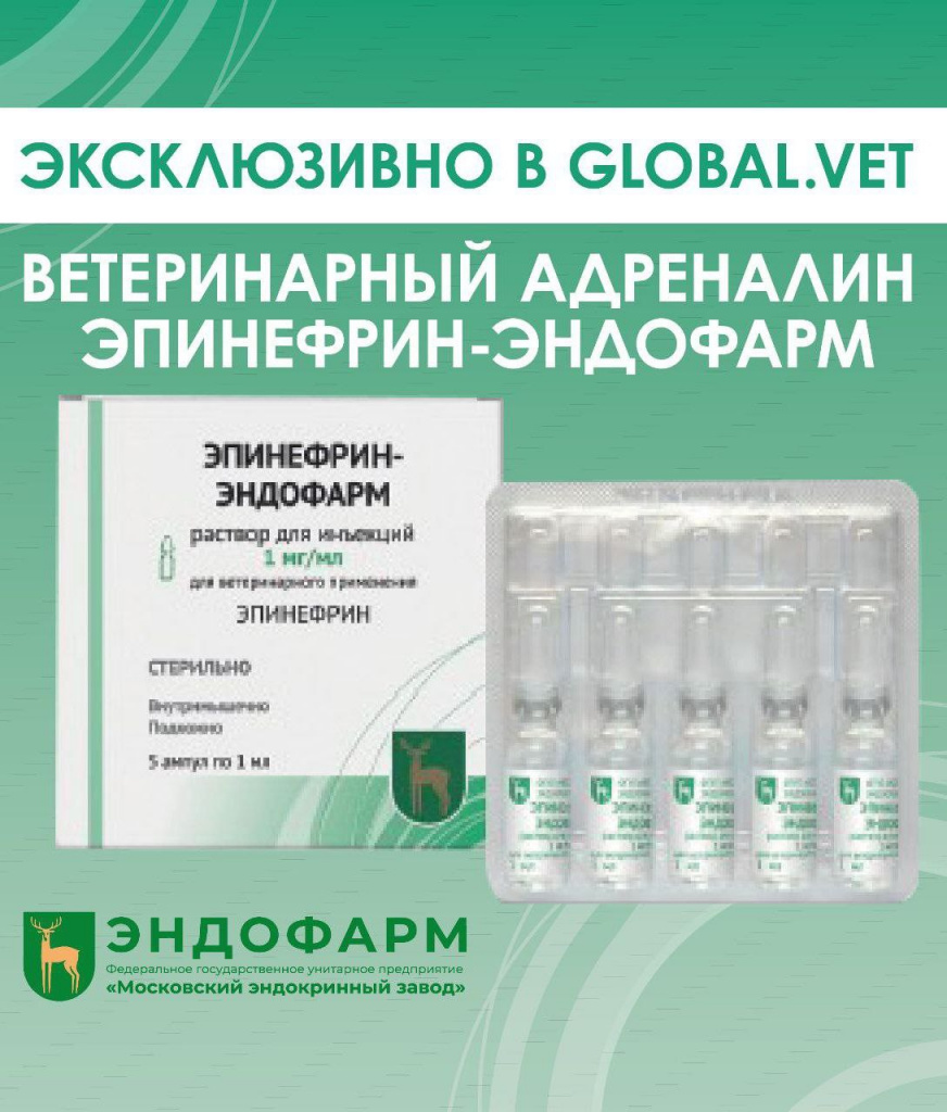Фото с тренинга